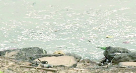 �潭�@�F(xi��n)��(sh��)�fβ���~ �O��:�ɺ�ˮ��Ⱦ���� 