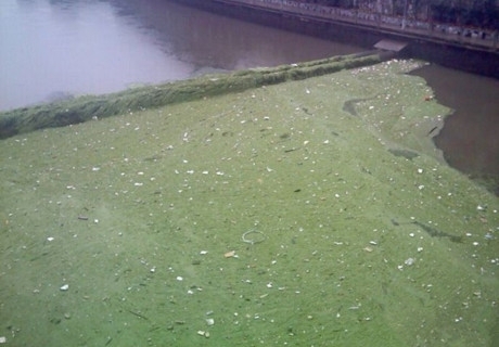 漢中市玉帶河柴油事件