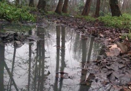 杭州西湖污水事件